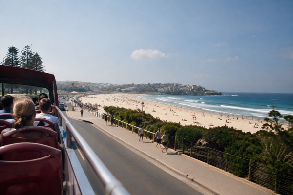 Big Bus Hop-On Hop-Off, Optional Cruise, Sydney CBD