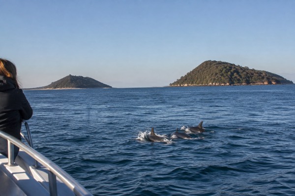 Port Stephens, Cruise or Hike, Port Stephens