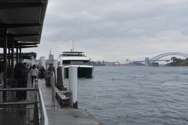 Whale Cruise, Lunch or Breakfast, Sydney Harbour