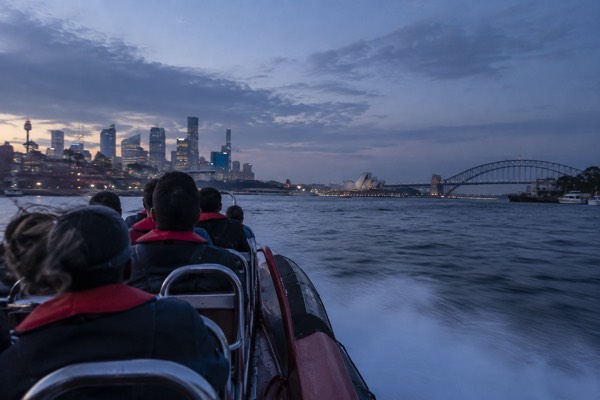 Extreme Speed Boat Whale Cruise, Sydney Harbour
