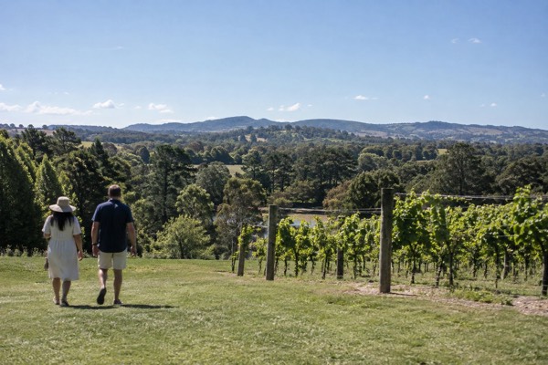 Wildlife, Waterfalls and Wine Day Tour, South of Sydney
