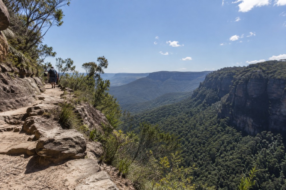 Clifftop walking track above a deep forested valley in the Blue Mountains
