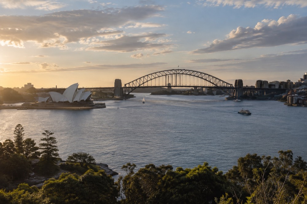 The bridge arch and the Opera House seen from a high vantage point in late afternoon light