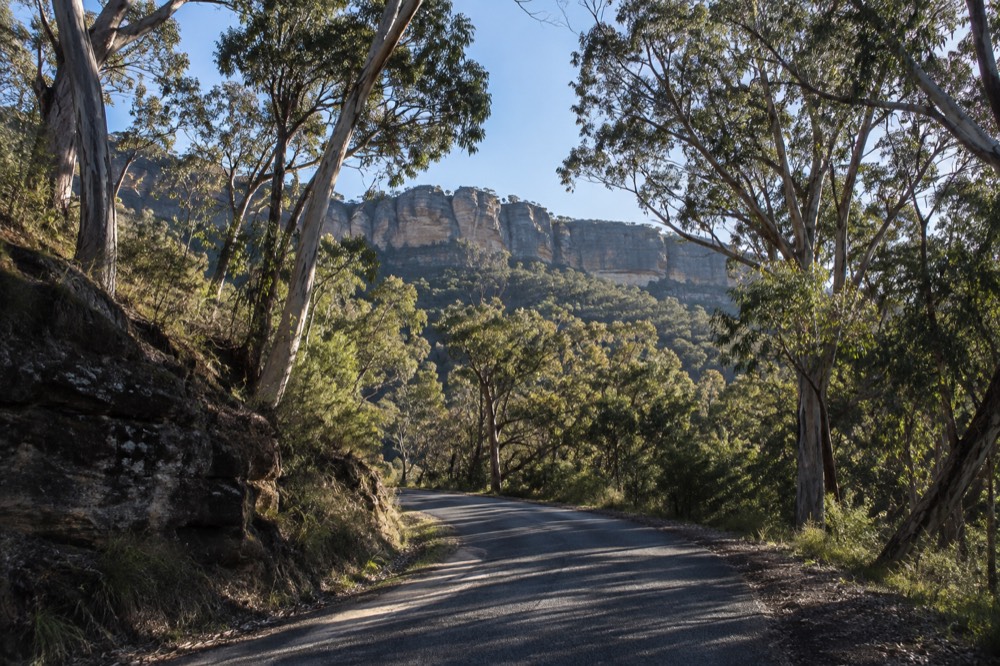A quiet bushland road winding through tall eucalypt forest toward a sandstone cliff line