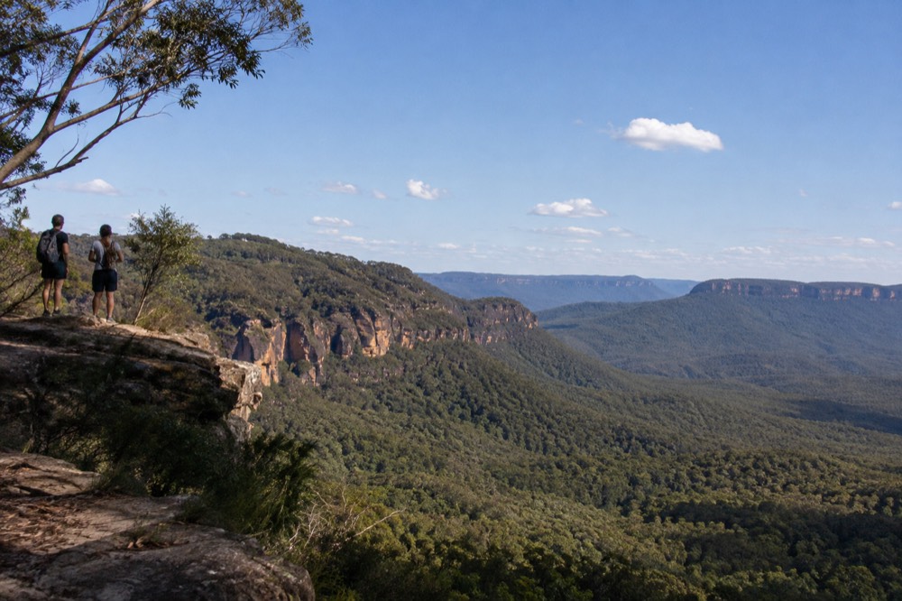 Sandstone cliffs and forested valleys of the Blue Mountains under a wide clear sky