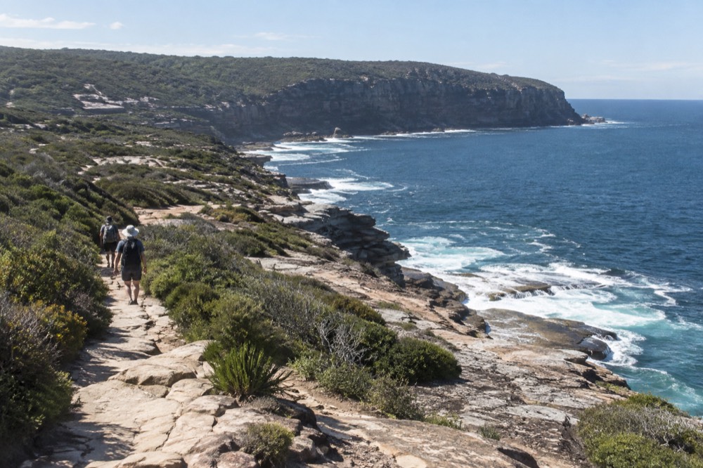 A coastal walking track winding above sandstone cliffs toward a distant headland