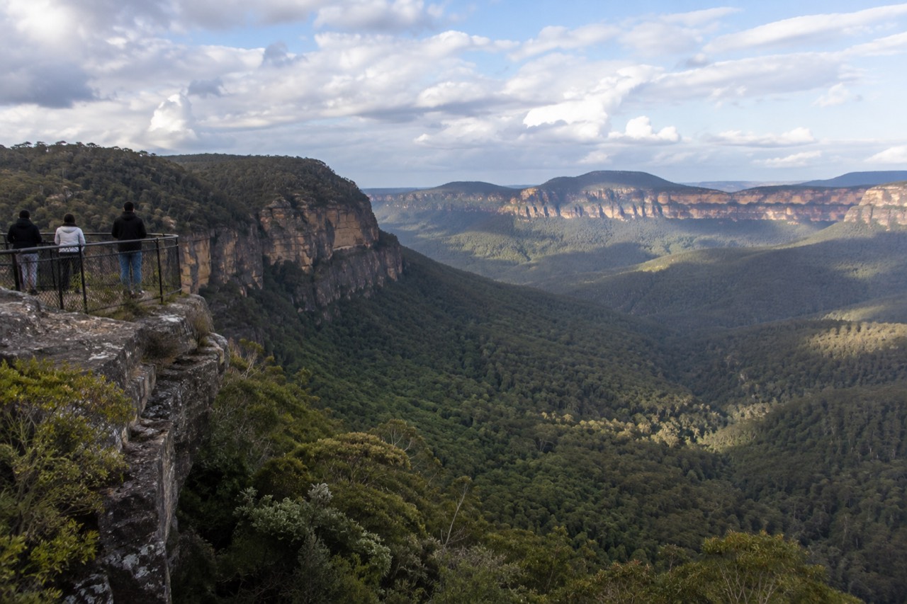 Sandstone cliffs and forested valley in the Blue Mountains seen from a Katoomba lookout