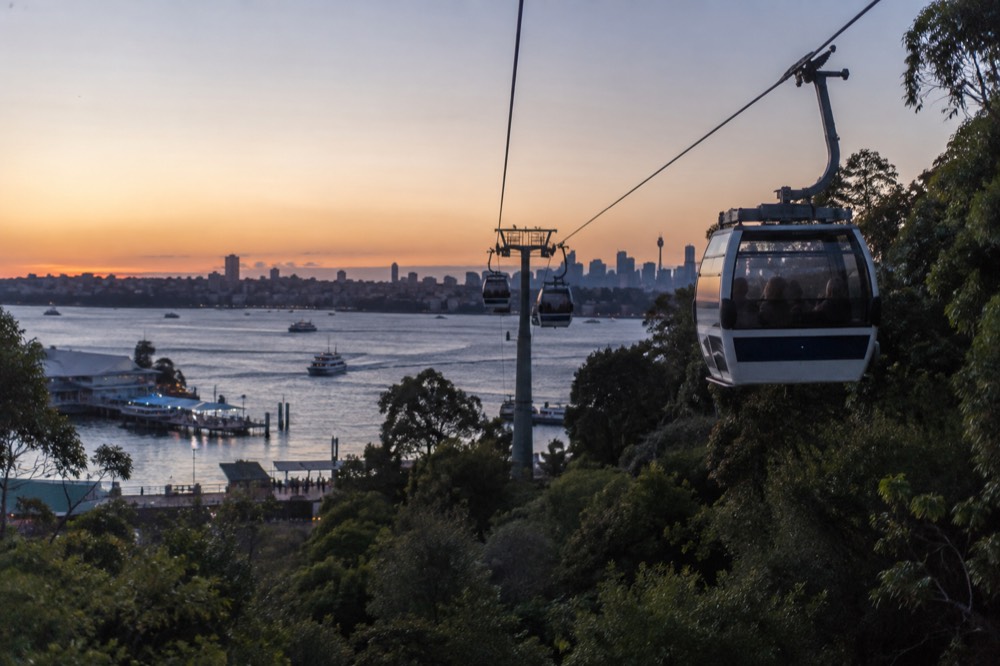 A cable car rising from the ferry wharf toward the zoo entrance among trees