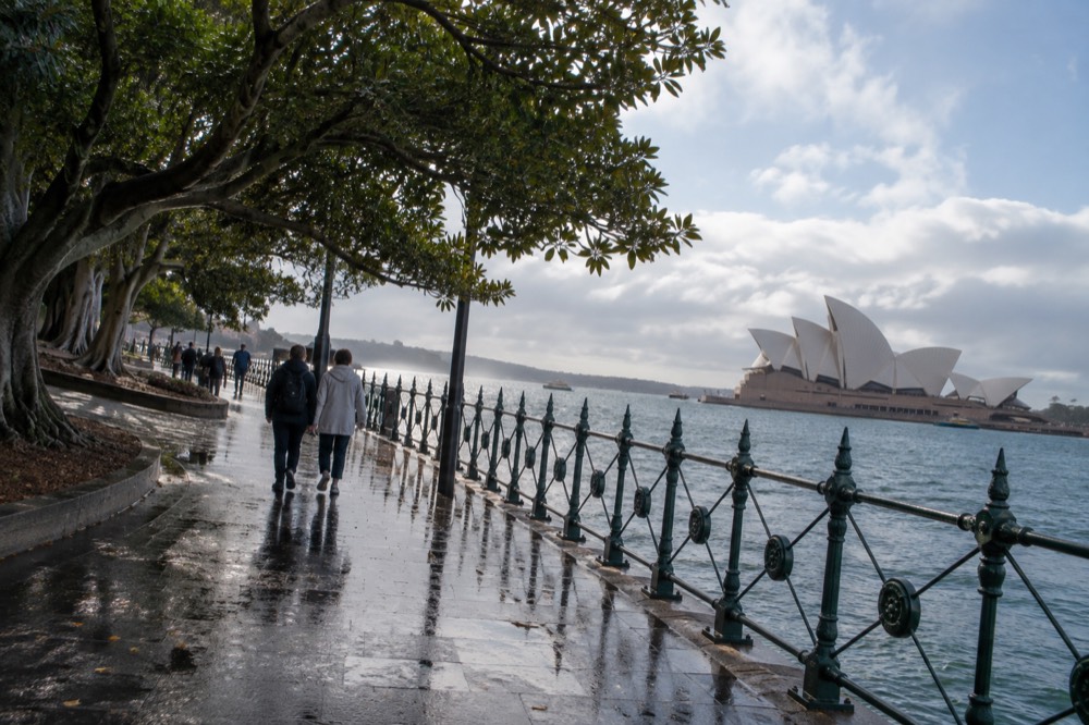 A harbourside walking path curving past fig trees toward the Sydney Opera House