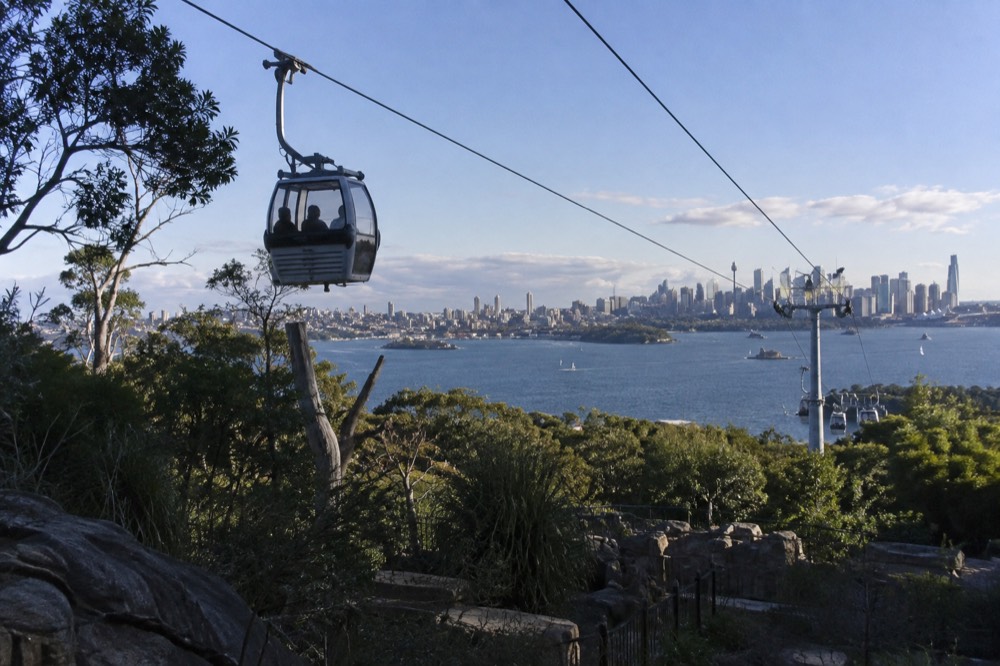 A cable car rising over a zoo hillside with city towers across the water