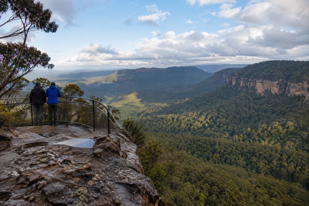 Valley view from a clifftop lookout above dense eucalyptus forest