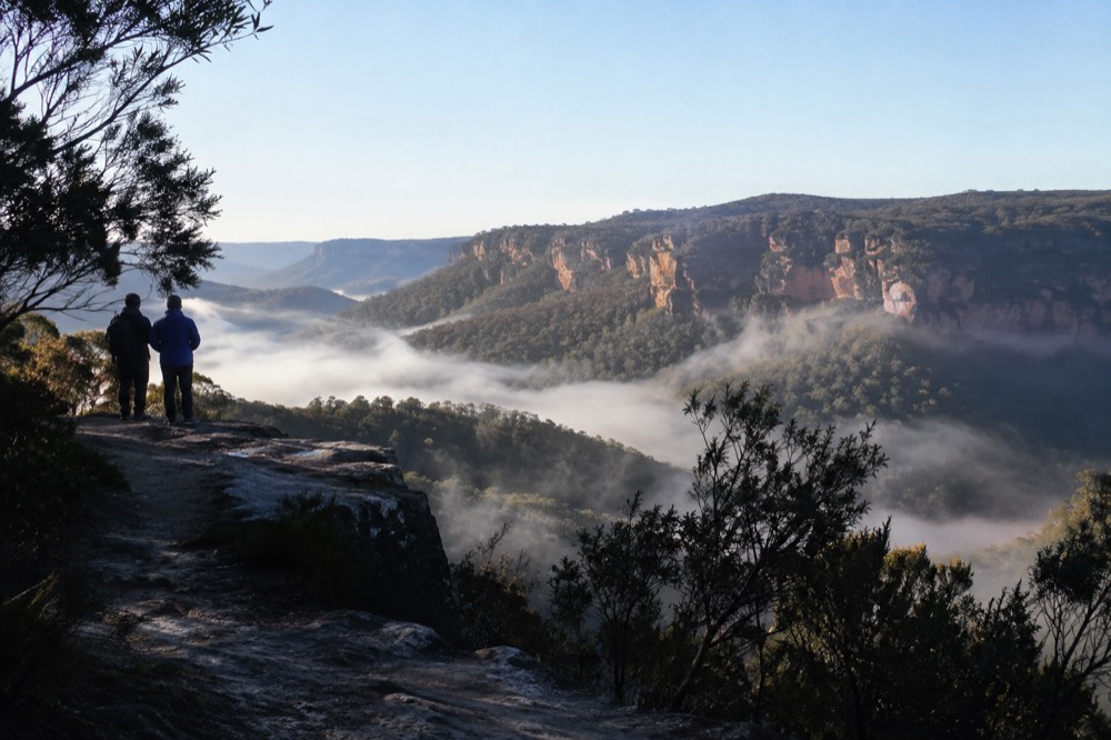 Morning mist sitting in a forested valley below sandstone cliffs