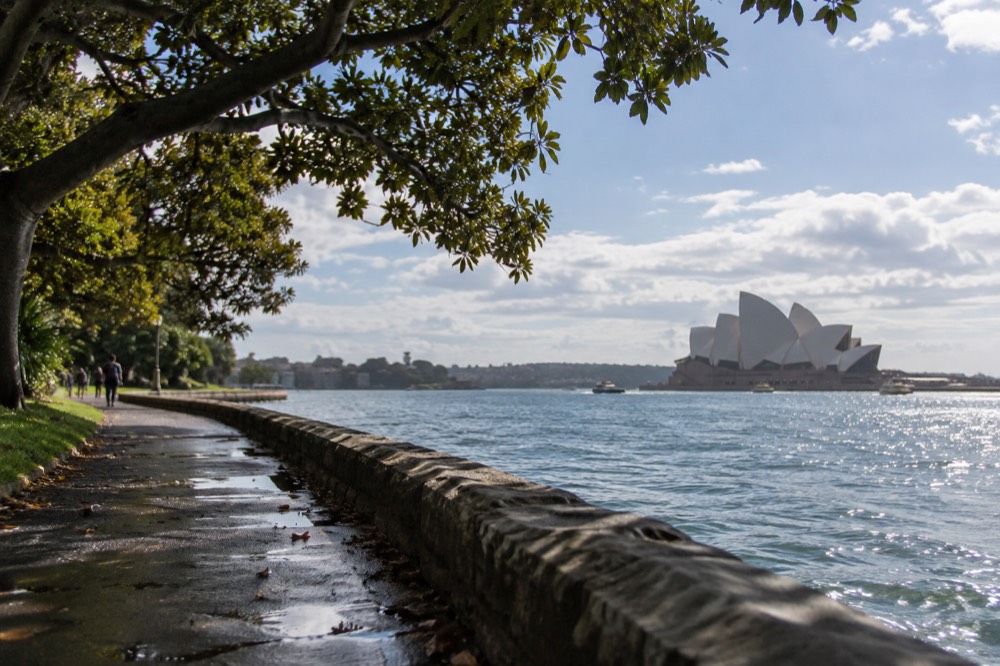 Foreshore walk beside the Royal Botanic Garden with the Opera House roof visible across the water
