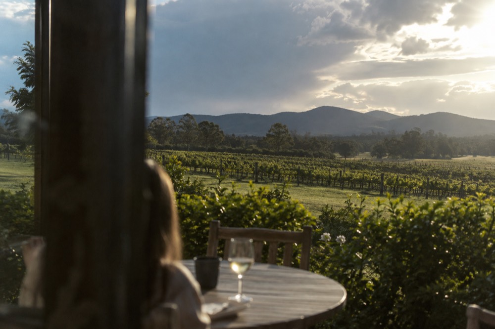 Rows of grapevines in the Hunter Valley rolling toward distant hills