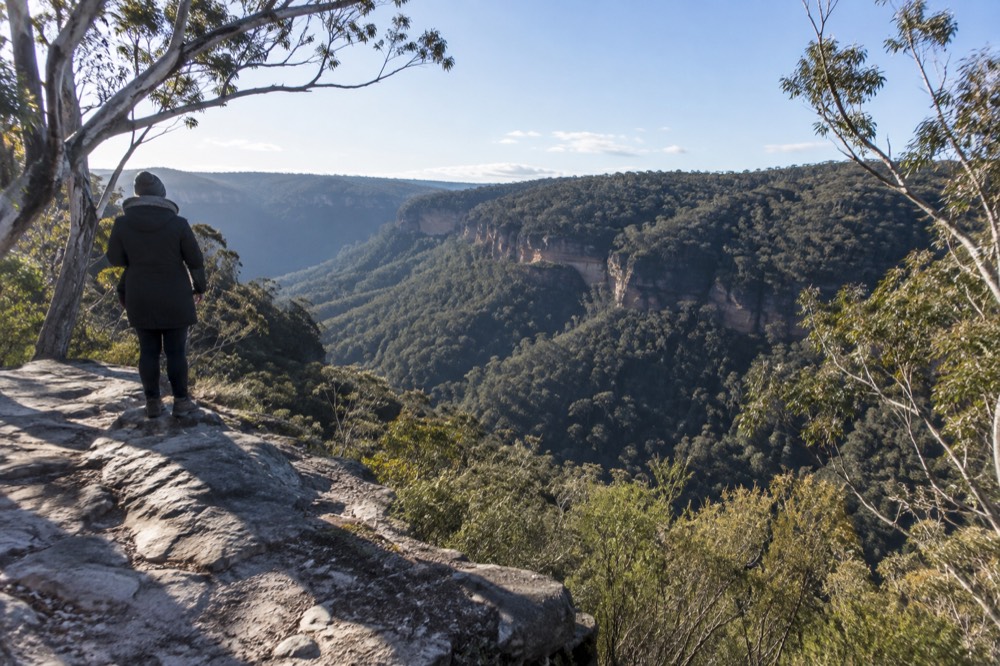 Eucalyptus forest and layered sandstone escarpment in the Blue Mountains near Katoomba