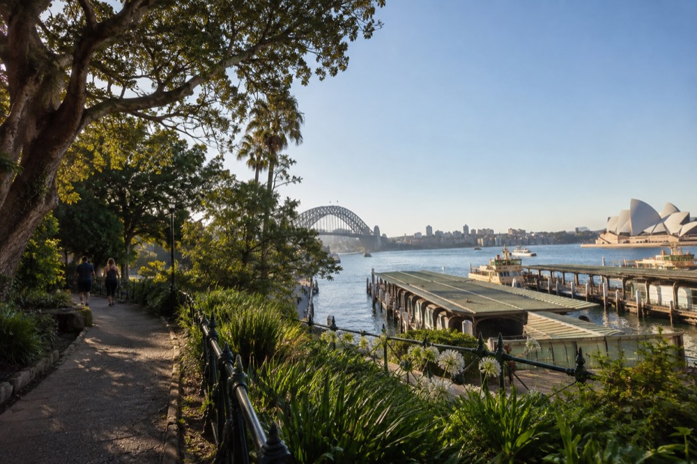 A shaded garden path on a harbour headland with dense planting and a glimpse of water between trees