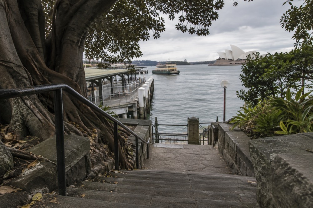 A narrow stone stairway descending through fig trees toward a sheltered harbour cove