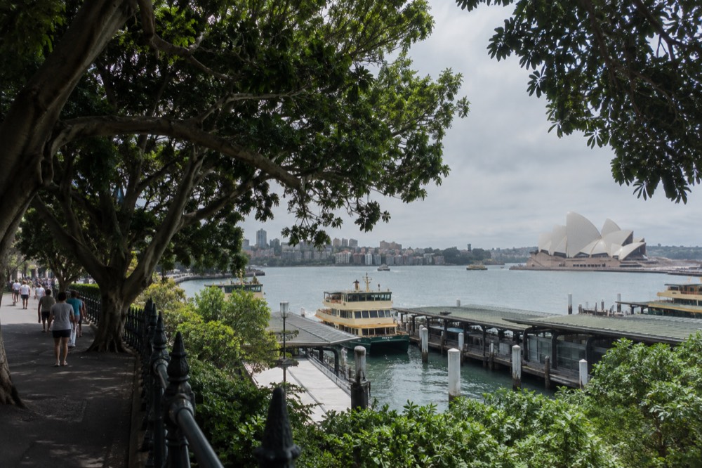 Shaded park path beside the harbour with fig trees and city towers in the background