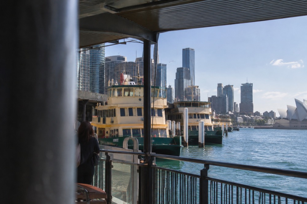 Ferries moored at Circular Quay with the CBD skyline behind them