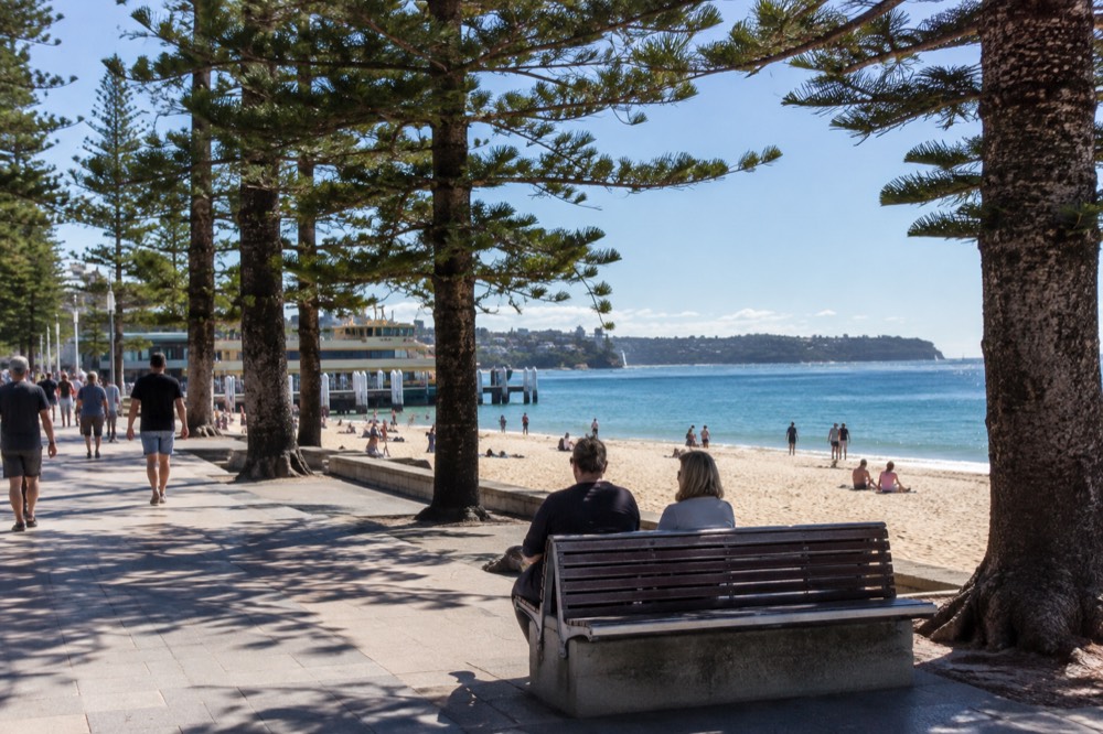 Manly ferry terminal with beachside promenade and Norfolk pines