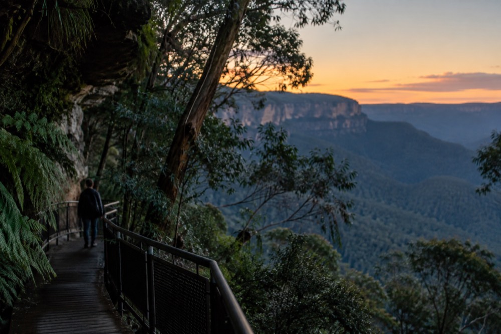 Boardwalk path through rainforest beneath the cliffs of the Jamison Valley