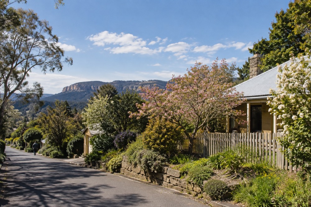 A cottage garden with flowering trees beside a quiet village lane