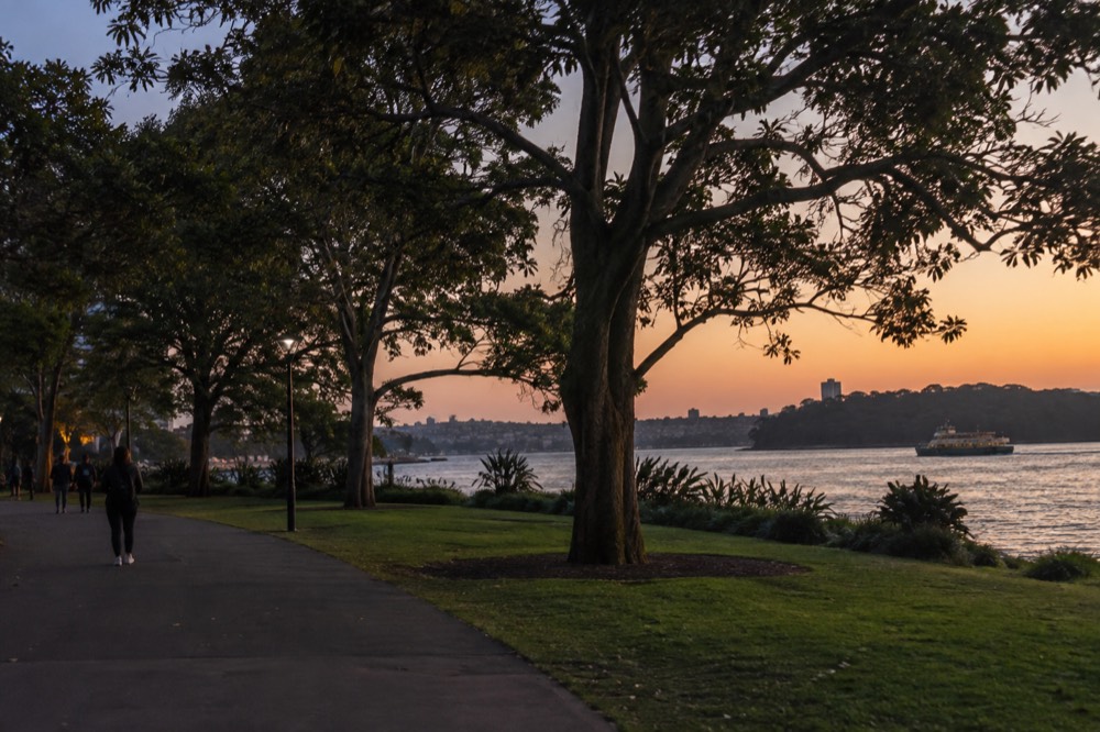A shaded garden path with wide lawns and harbour water visible beyond the trees