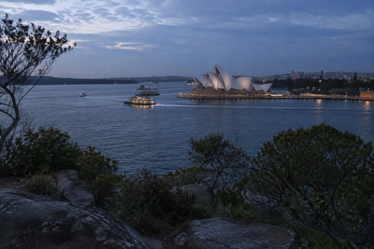 White sails of the Sydney Opera House seen across the water from a harbour headland