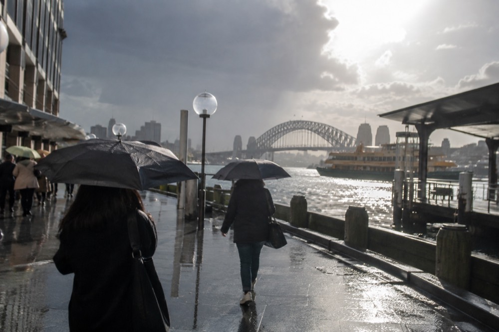 Wet pavement and umbrellas on a Sydney city street after rain