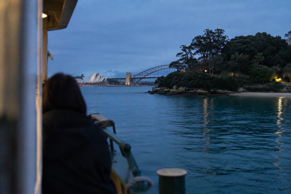 A sheltered harbour cove with still turquoise water and trees overhanging a small sandy shore