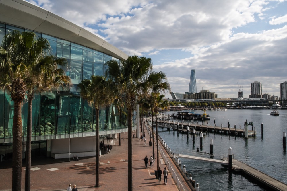 Glass-fronted aquarium building on the Darling Harbour promenade with palm trees