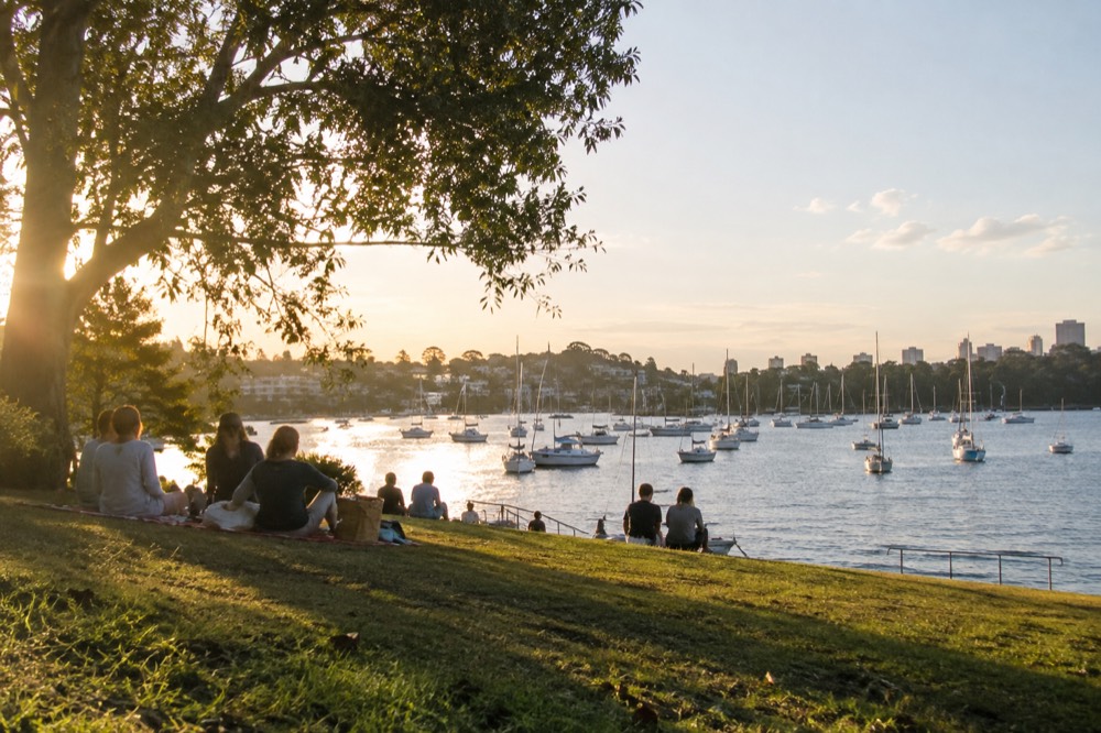 People picnicking on open grass beside a calm harbour bay with moored boats