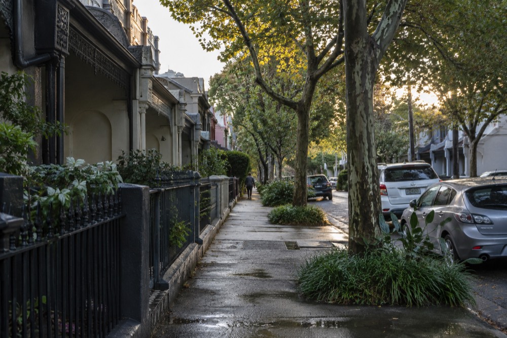 A tree-lined inner city street with terrace house rooftops in late afternoon light