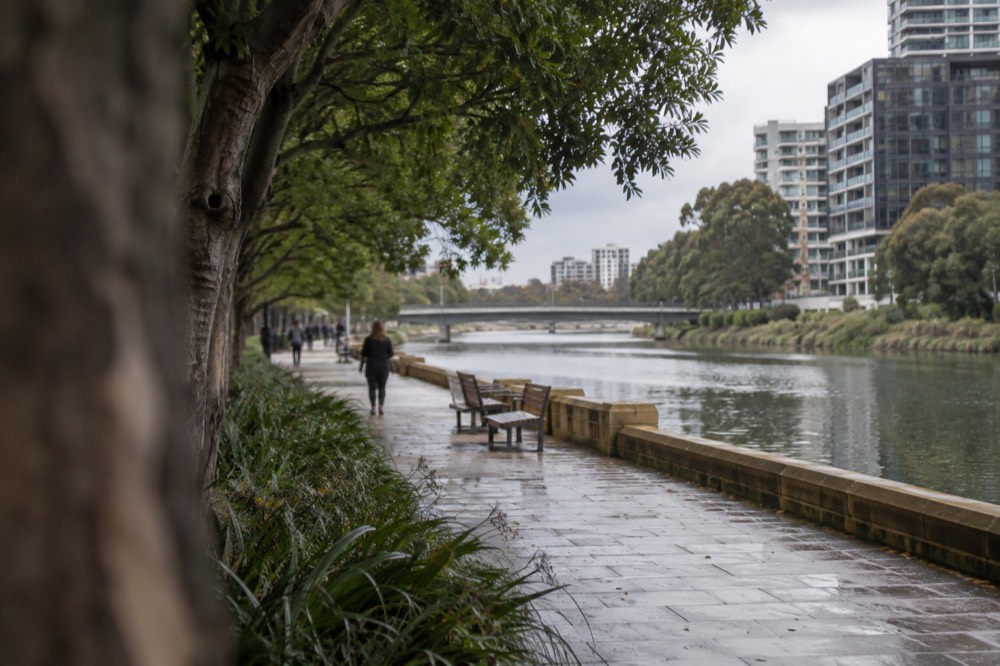 Riverside walkway in Parramatta with trees, benches and buildings along the water