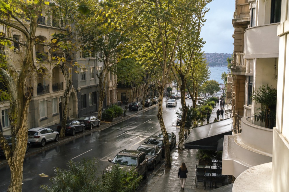 Macleay Street in Potts Point with plane trees, cafes and art deco facades