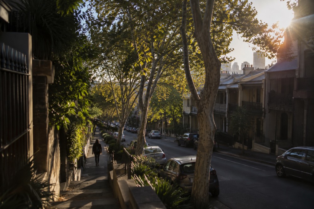 A Surry Hills street with plane trees and low winter light over terrace rooftops