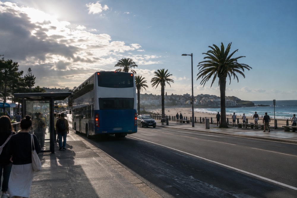 Double-decker bus at a busy beachside stop with palm trees