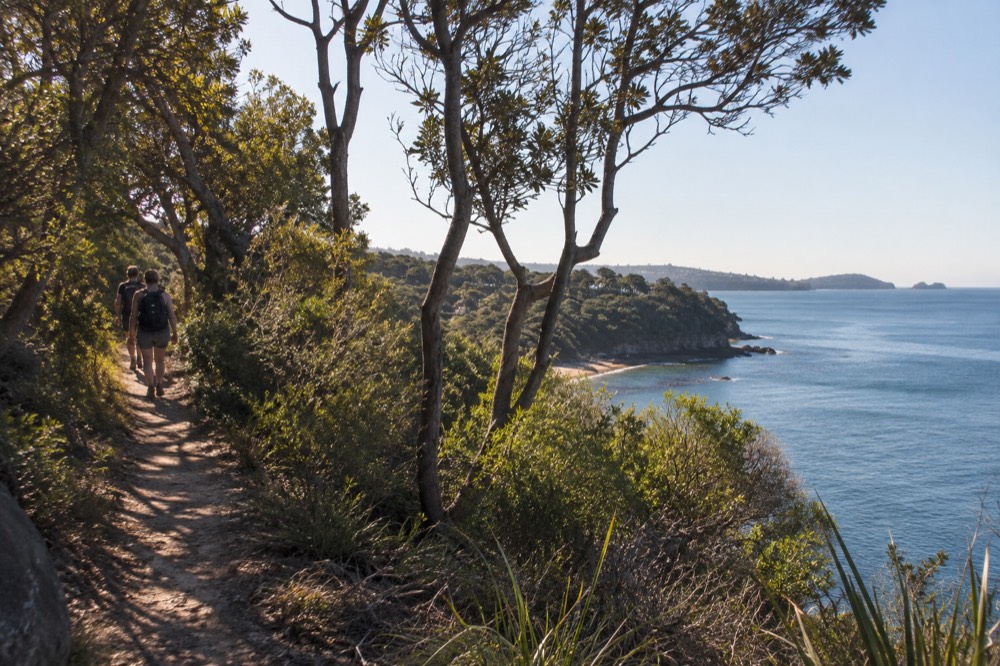 A bush track along a harbour headland with calm blue water and small beaches below