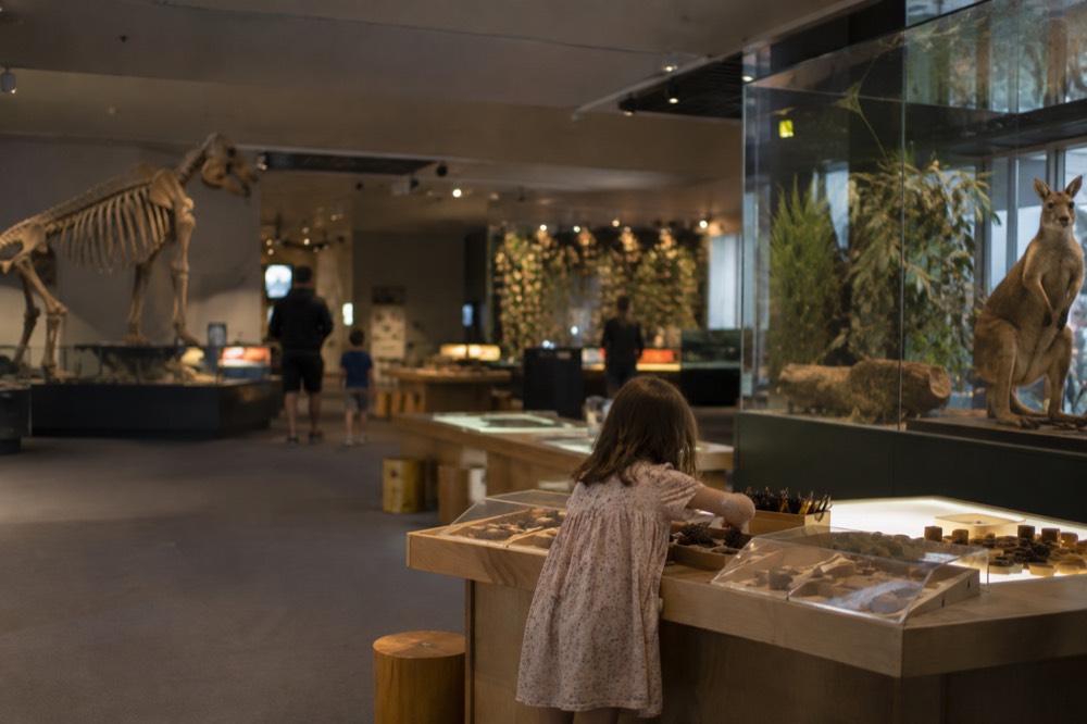 A children's activity area inside the Australian Museum with hands-on displays