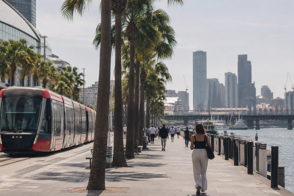 A light rail tram passing a palm-lined promenade beside a harbour