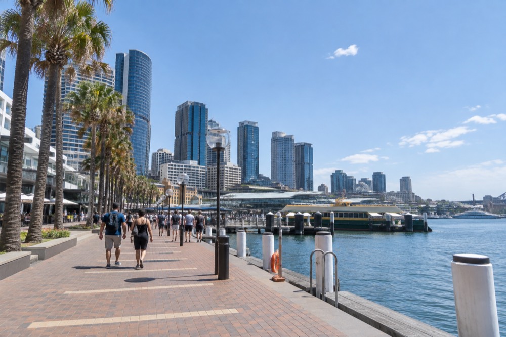 A harbour promenade with palm trees, ferry wharves and high-rise buildings behind