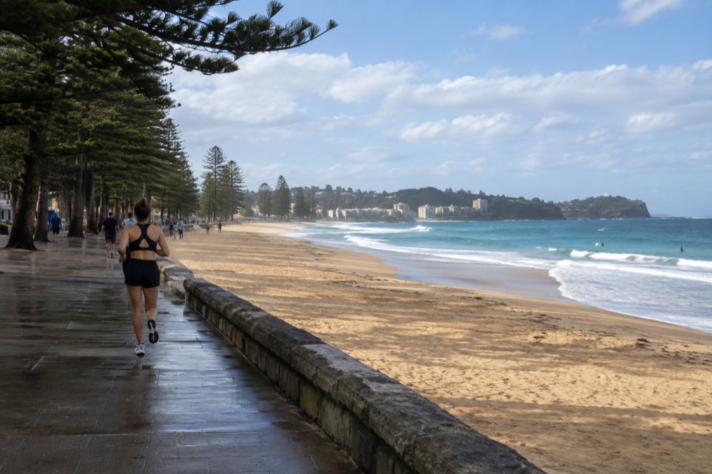 Norfolk pines along the Manly Beach promenade above golden sand
