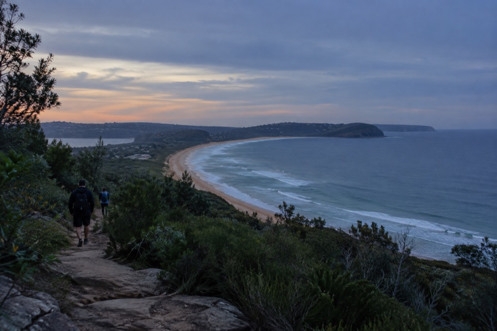 Walking track climbing a headland through low coastal bush