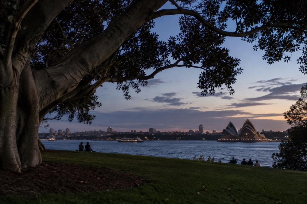 Harbour-side lawns and mature fig trees looking across water toward the Sydney Opera House