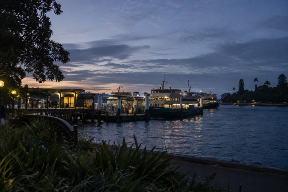 Ferry terminal with moored ferries and a garden headland in the background