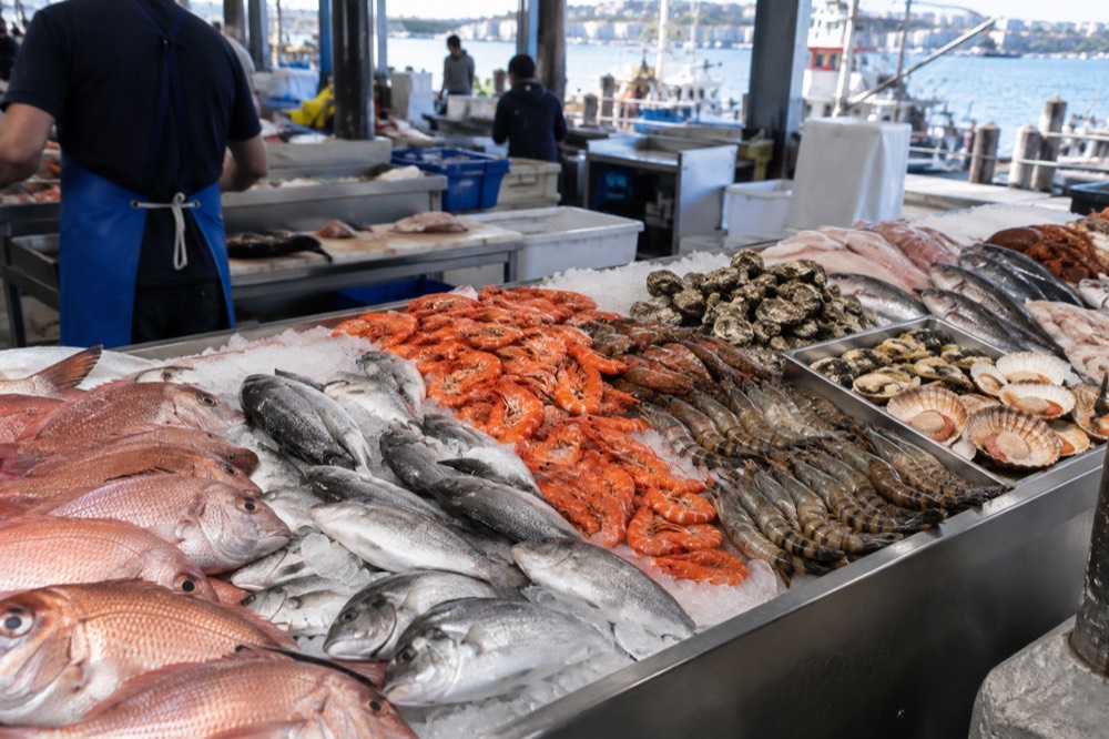 A seafood counter with fresh fish and shellfish displayed on ice