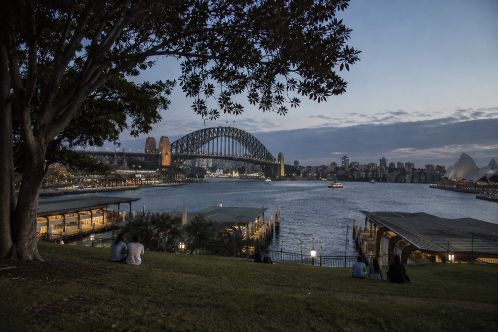 A grassy hilltop park with fig trees overlooking Sydney Harbour and a steel through-arch bridge at dusk