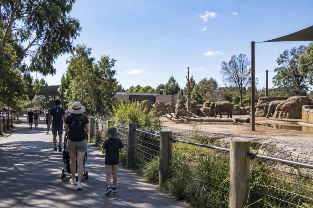 Shaded zoo path with families walking between enclosures in morning light