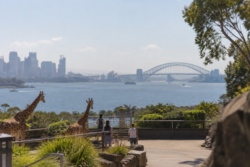 Entrance plaza of a zoo with a view over Sydney Harbour on a clear morning