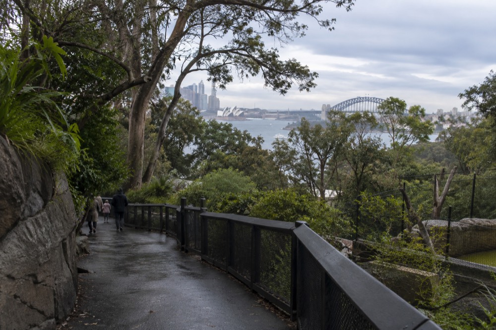 A shaded zoo path winding downhill between trees with the harbour visible below